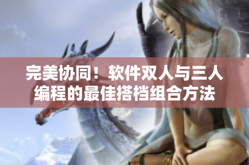 完美協(xié)同！軟件雙人與三人編程的最佳搭檔組合方法