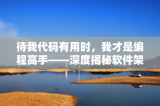 待我代碼有用時，我才是編程高手——深度揭秘軟件架構(gòu)設(shè)計