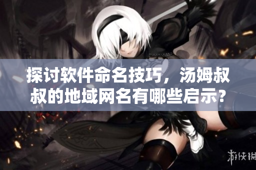 探討軟件命名技巧，湯姆叔叔的地域網(wǎng)名有哪些啟示？