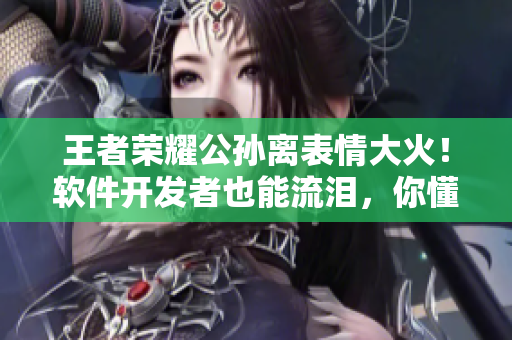 王者榮耀公孫離表情大火！軟件開發(fā)者也能流淚，你懂嗎？