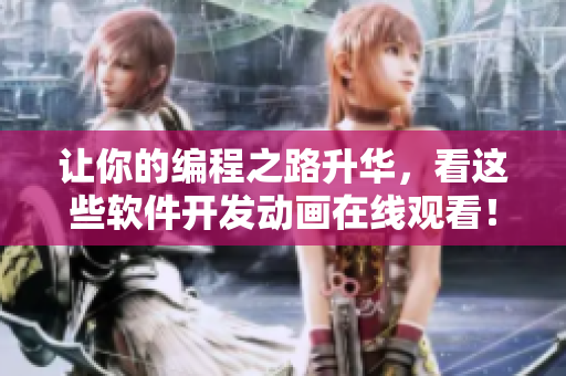讓你的編程之路升華，看這些軟件開發(fā)動畫在線觀看！