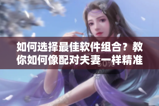 如何選擇最佳軟件組合？教你如何像配對夫妻一樣精準(zhǔn)匹配