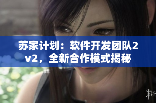 蘇家計(jì)劃：軟件開(kāi)發(fā)團(tuán)隊(duì)2v2，全新合作模式揭秘