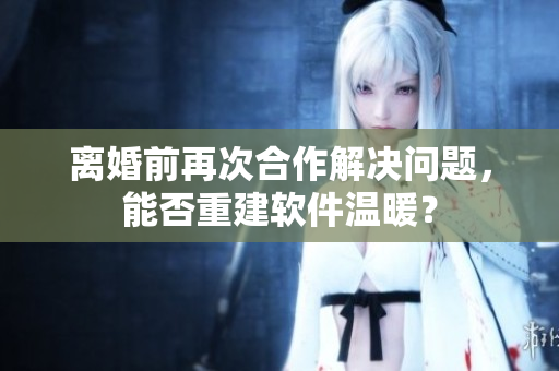 離婚前再次合作解決問題，能否重建軟件溫暖？