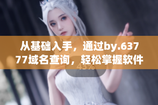 從基礎(chǔ)入手，通過by.63777域名查詢，輕松掌握軟件運行機(jī)理