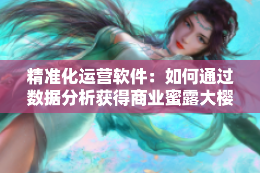 精準化運營軟件：如何通過數(shù)據(jù)分析獲得商業(yè)蜜露大櫻桃