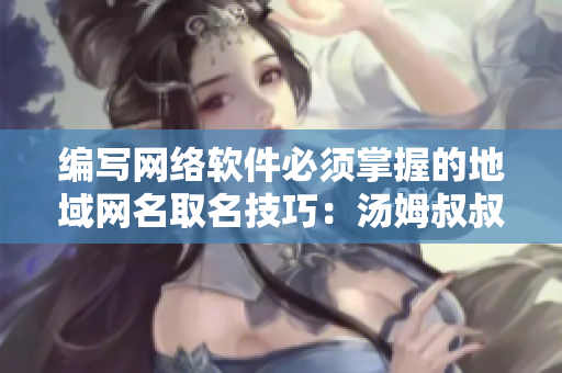 編寫網(wǎng)絡軟件必須掌握的地域網(wǎng)名取名技巧：湯姆叔叔的最新建議