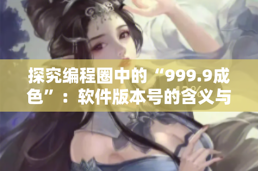 探究編程圈中的“999.9成色”：軟件版本號的含義與演變