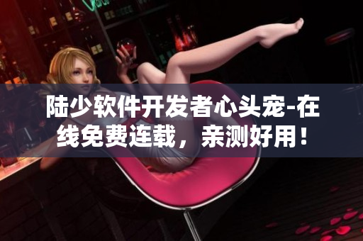 陸少軟件開(kāi)發(fā)者心頭寵-在線免費(fèi)連載，親測(cè)好用！