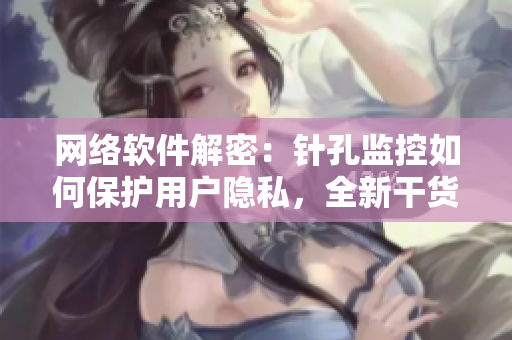 網(wǎng)絡(luò)軟件解密：針孔監(jiān)控如何保護用戶隱私，全新干貨分享！
