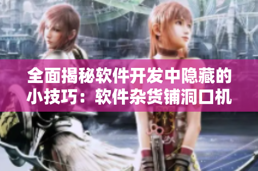 全面揭秘軟件開(kāi)發(fā)中隱藏的小技巧：軟件雜貨鋪洞口機(jī)制解析