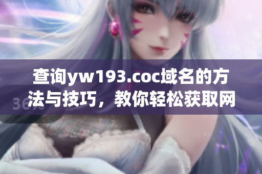 查詢yw193.coc域名的方法與技巧，教你輕松獲取網(wǎng)絡(luò)軟件關(guān)鍵信息