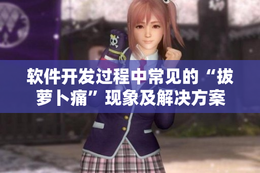 軟件開(kāi)發(fā)過(guò)程中常見(jiàn)的“拔蘿卜痛”現(xiàn)象及解決方案