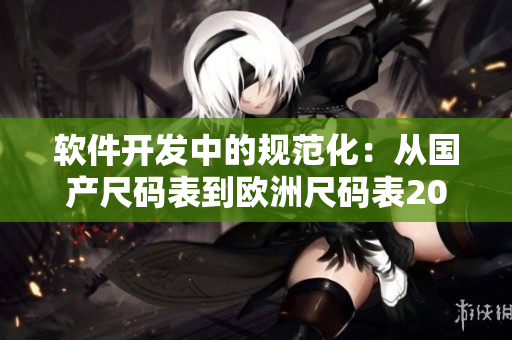 軟件開發(fā)中的規(guī)范化：從國產尺碼表到歐洲尺碼表2023
