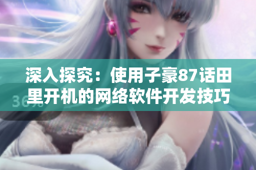 深入探究：使用子豪87話田里開機(jī)的網(wǎng)絡(luò)軟件開發(fā)技巧