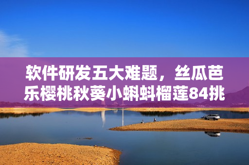 軟件研發(fā)五大難題，絲瓜芭樂(lè)櫻桃秋葵小蝌蚪榴蓮84挑戰(zhàn)解密