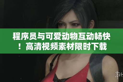 程序員與可愛動物互動暢快！高清視頻素材限時下載