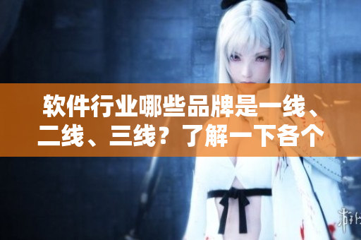 軟件行業(yè)哪些品牌是一線、二線、三線？了解一下各個(gè)品牌的情況