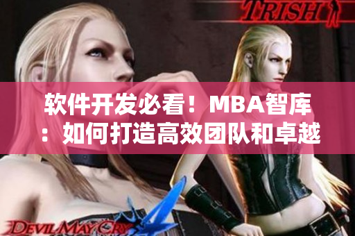 軟件開發(fā)必看！MBA智庫：如何打造高效團(tuán)隊(duì)和卓越產(chǎn)品  MBA蘑菇視頻