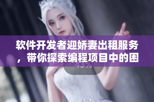 軟件開發(fā)者迎嬌妻出租服務(wù)，帶你探索編程項(xiàng)目中的困難與樂趣