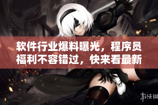 軟件行業(yè)爆料曝光，程序員福利不容錯過，快來看最新軟件開發(fā)內(nèi)幕公開報道