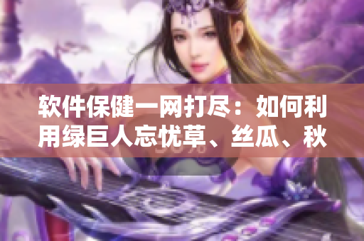 軟件保健一網(wǎng)打盡：如何利用綠巨人忘憂草、絲瓜、秋葵與黃來優(yōu)化電腦性能