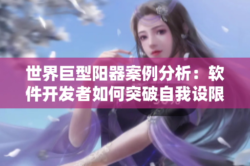 世界巨型陽器案例分析：軟件開發(fā)者如何突破自我設(shè)限？