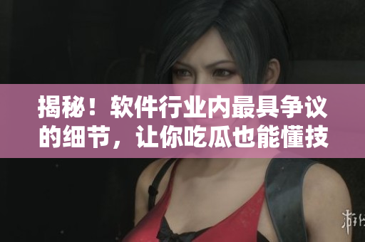 揭秘！軟件行業(yè)內(nèi)最具爭議的細(xì)節(jié)，讓你吃瓜也能懂技術(shù)