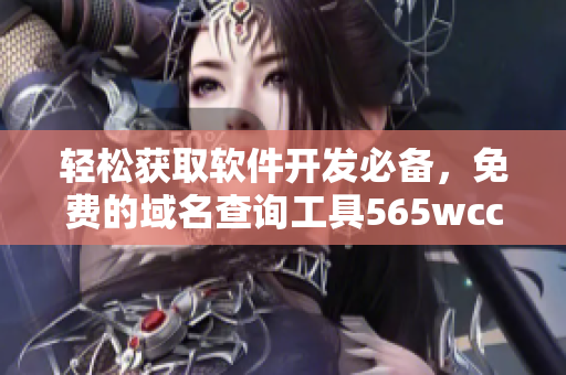 輕松獲取軟件開發(fā)必備，免費的域名查詢工具565wcc