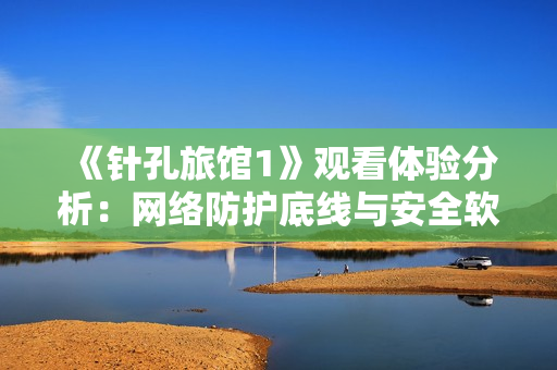 《針孔旅館1》觀看體驗(yàn)分析：網(wǎng)絡(luò)防護(hù)底線與安全軟件落地探討