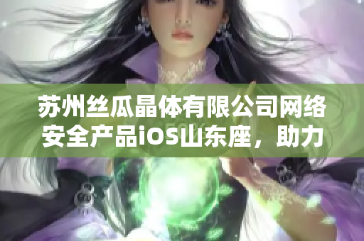 蘇州絲瓜晶體有限公司網絡安全產品iOS山東座，助力企業(yè)數(shù)據(jù)保護
