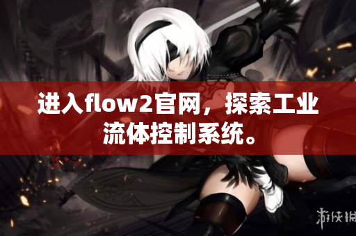 進(jìn)入flow2官網(wǎng)，探索工業(yè)流體控制系統(tǒng)。