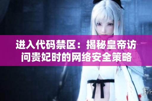 進(jìn)入代碼禁區(qū)：揭秘皇帝訪問貴妃時(shí)的網(wǎng)絡(luò)安全策略