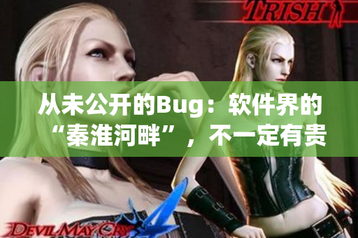 從未公開的Bug：軟件界的“秦淮河畔”，不一定有貴妃？