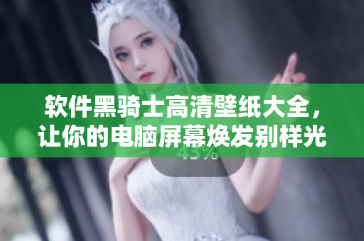 軟件黑騎士高清壁紙大全，讓你的電腦屏幕煥發(fā)別樣光芒！