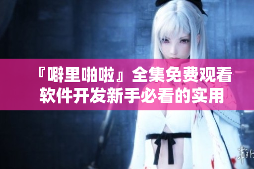 『噼里啪啦』全集免費觀看  軟件開發(fā)新手必看的實用經(jīng)驗分享
