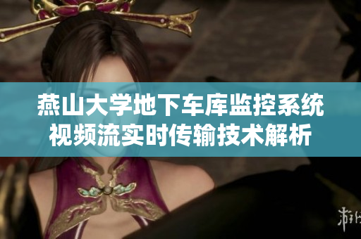燕山大學(xué)地下車(chē)庫(kù)監(jiān)控系統(tǒng)視頻流實(shí)時(shí)傳輸技術(shù)解析