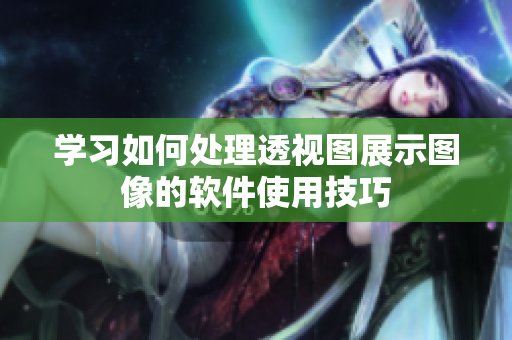 學(xué)習(xí)如何處理透視圖展示圖像的軟件使用技巧