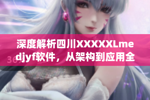 深度解析四川XXXXXLmedjyf軟件，從架構(gòu)到應(yīng)用全面掌握