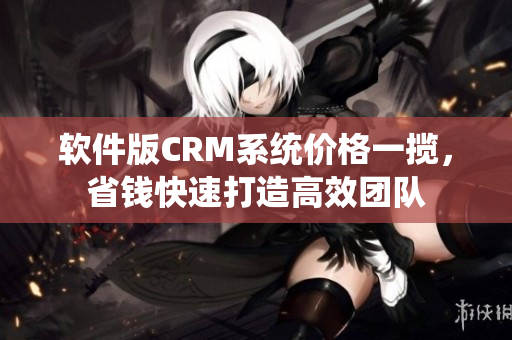 軟件版CRM系統(tǒng)價(jià)格一攬，省錢(qián)快速打造高效團(tuán)隊(duì)
