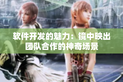 軟件開發(fā)的魅力：鏡中映出團(tuán)隊(duì)合作的神奇場(chǎng)景
