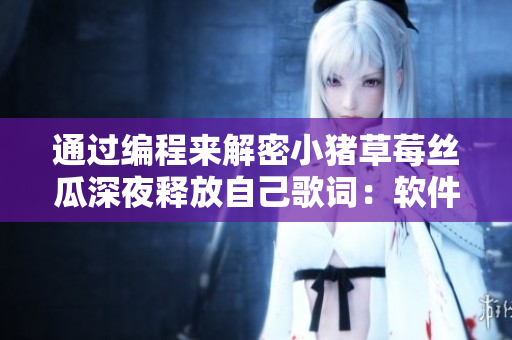 通過編程來解密小豬草莓絲瓜深夜釋放自己歌詞：軟件開發(fā)者也需要找到自己的表達方式