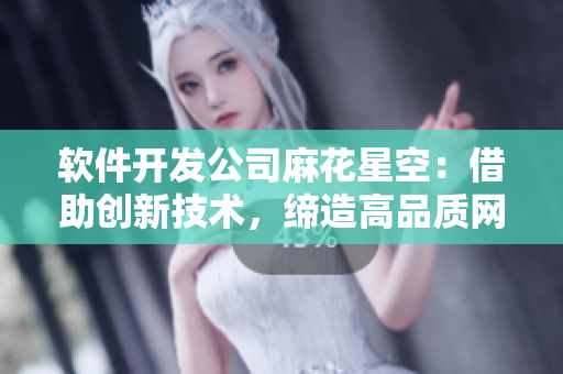 軟件開發(fā)公司麻花星空：借助創(chuàng)新技術(shù)，締造高品質(zhì)網(wǎng)絡(luò)軟件！
