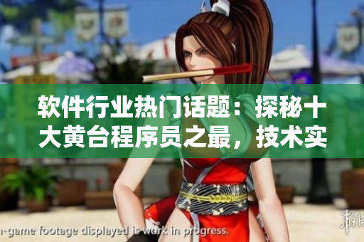 軟件行業(yè)熱門話題：探秘十大黃臺程序員之最，技術(shù)實力測評揭曉