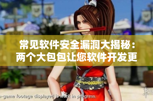 常見軟件安全漏洞大揭秘：兩個大包包讓您軟件開發(fā)更放心