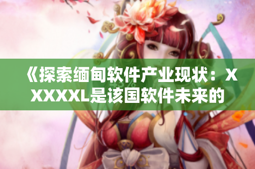 《探索緬甸軟件產(chǎn)業(yè)現(xiàn)狀：XXXXXL是該國軟件未來的希望》