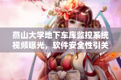 燕山大學(xué)地下車庫監(jiān)控系統(tǒng)視頻曝光，軟件安全性引關(guān)注