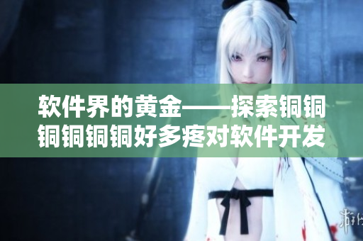 軟件界的黃金——探索銅銅銅銅銅銅好多疼對軟件開發(fā)的影響