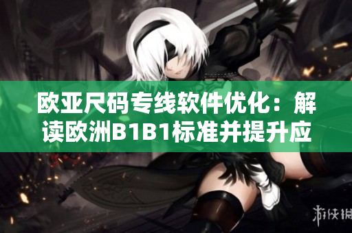 歐亞尺碼專線軟件優(yōu)化：解讀歐洲B1B1標(biāo)準(zhǔn)并提升應(yīng)用效能