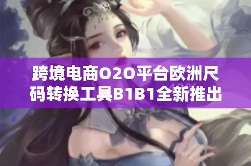 跨境電商O2O平臺歐洲尺碼轉換工具B1B1全新推出